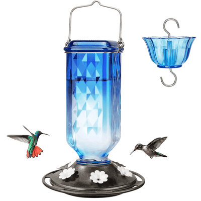 BloomNectar Glass Feeder – Attract & Delight Hummingbirds - 50% OFF