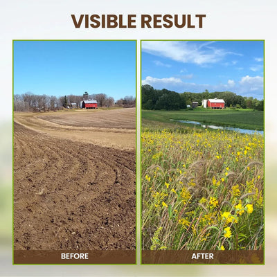 TerraThrive - Unlock Your Soil, Unleash Your Garden - 50% OFF
