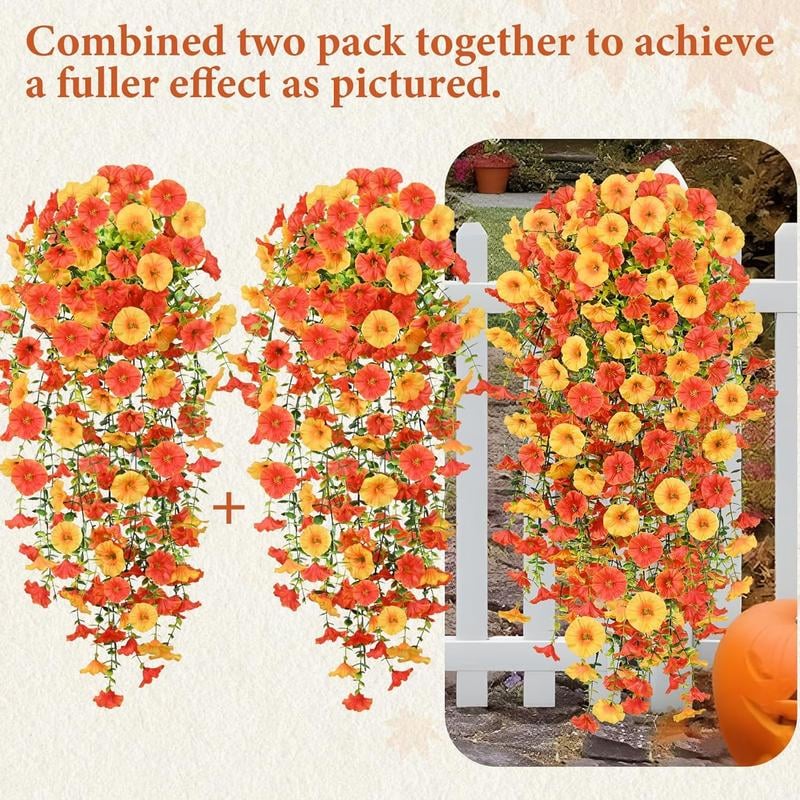 EverBloom Morning Glories - A Perfect Porch, All Autumn - 1+1 FREE