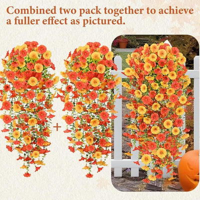 EverBloom Morning Glories - A Perfect Porch, All Autumn - 1+1 FREE