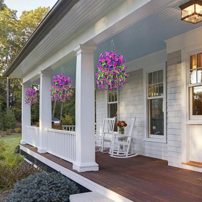 EverBloom Morning Glories - A Perfect Porch, All Autumn - 1+1 FREE