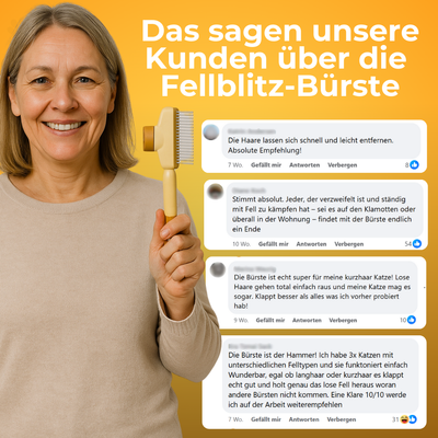 The Fellblitz Brush - A Hair-Free Home, Finally + 50% OFF