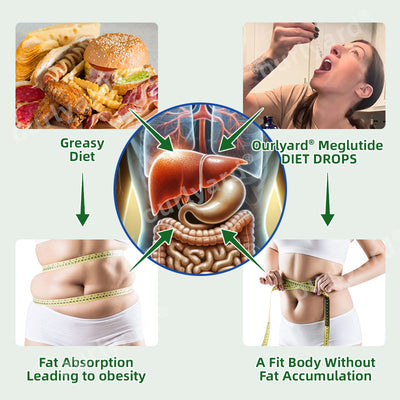 MetaboDrop Control- Effortless Appetite Management & Metabolic Support in Every Drop
