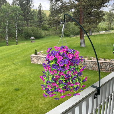 EverBloom Morning Glories - A Perfect Porch, All Autumn - 1+1 FREE