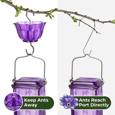 BloomNectar Glass Feeder – Attract & Delight Hummingbirds - 50% OFF