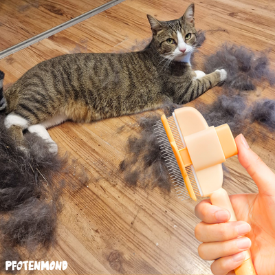 The Fellblitz Brush - A Hair-Free Home, Finally + 50% OFF