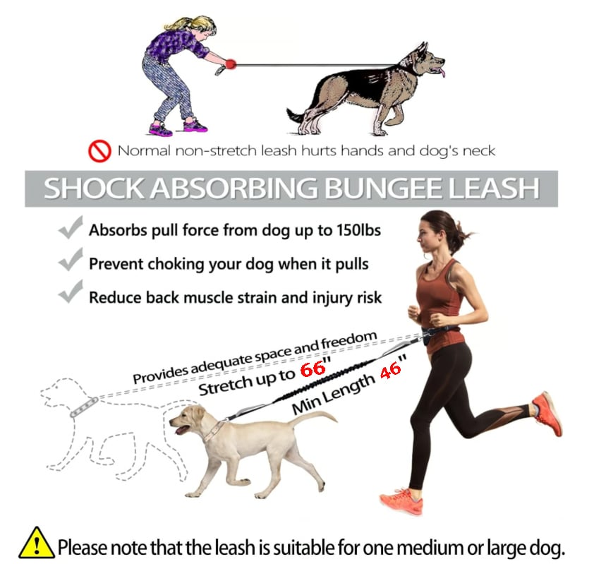 Hands-Free Dog Leash with Zipper Pouch - Shock-Absorbing Bungee & Adjustable Waist Belt - 50% OFF