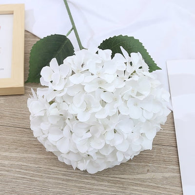 EverBloom Hydrangeas - A Perfect Garden, Effortlessly - 1+1 FREE