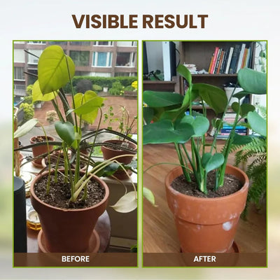 TerraThrive - Unlock Your Soil, Unleash Your Garden - 50% OFF