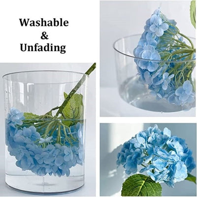 EverBloom Hydrangeas - A Perfect Garden, Effortlessly - 1+1 FREE