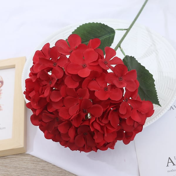 EverBloom Hydrangeas - A Perfect Garden, Effortlessly - 1+1 FREE