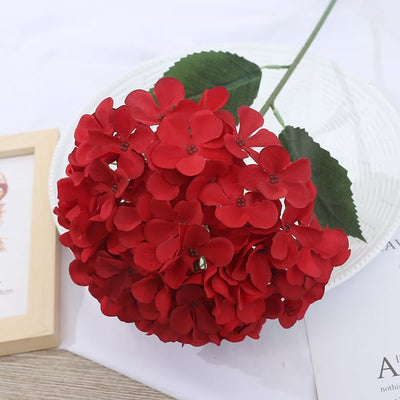 EverBloom Hydrangeas - A Perfect Garden, Effortlessly - 1+1 FREE