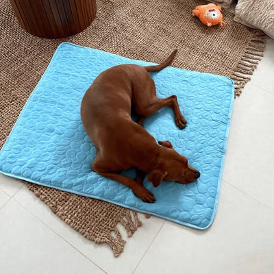 The CryoCore Mat - Instant Heatstroke Prevention - 50% OFF