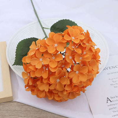 EverBloom Hydrangeas - A Perfect Garden, Effortlessly - 1+1 FREE