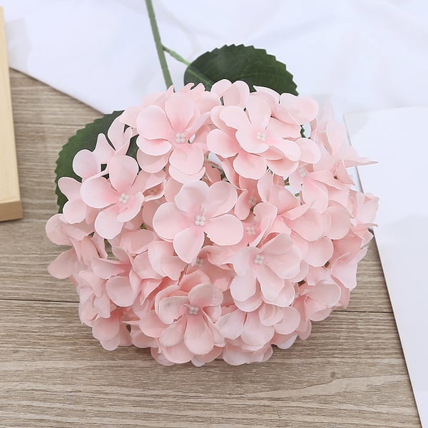 EverBloom Hydrangeas - A Perfect Garden, Effortlessly - 1+1 FREE