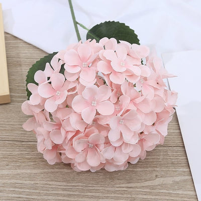 EverBloom Hydrangeas - A Perfect Garden, Effortlessly - 1+1 FREE