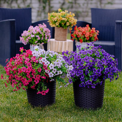 Exquisite UV Resistant Colorful Artificial Flowers