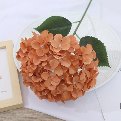 EverBloom Hydrangeas - A Perfect Garden, Effortlessly - 1+1 FREE