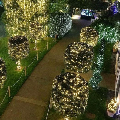 The Invisible Wire Fairy Lights - A Purely Magical Glow + 50% OFF
