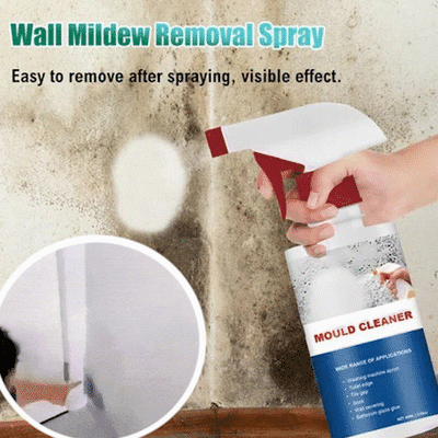 The MoldEnder Foam - Erase Mold Stains, No Scrubbing - 1+1 FREE