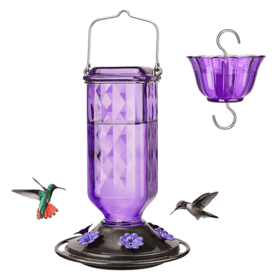 BloomNectar Glass Feeder – Attract & Delight Hummingbirds - 50% OFF