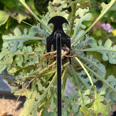 The TerraClaw - Effortless Weeding, No More Sore Back - 50% OFF