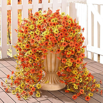 EverBloom Morning Glories - A Perfect Porch, All Autumn - 1+1 FREE
