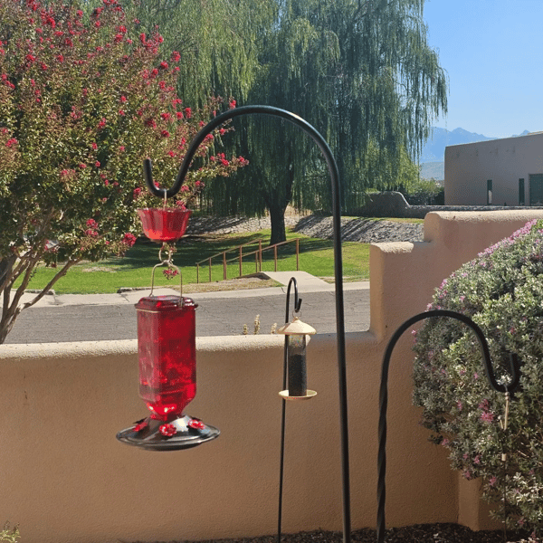 BloomNectar Glass Feeder – Attract & Delight Hummingbirds - 50% OFF