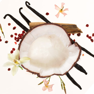 The Velvet Veil Mist - Your Perfect Signature Scent - 50% OFF