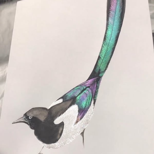 LumiNova Watercolors - Paint with Liquid Light - 50% OFF