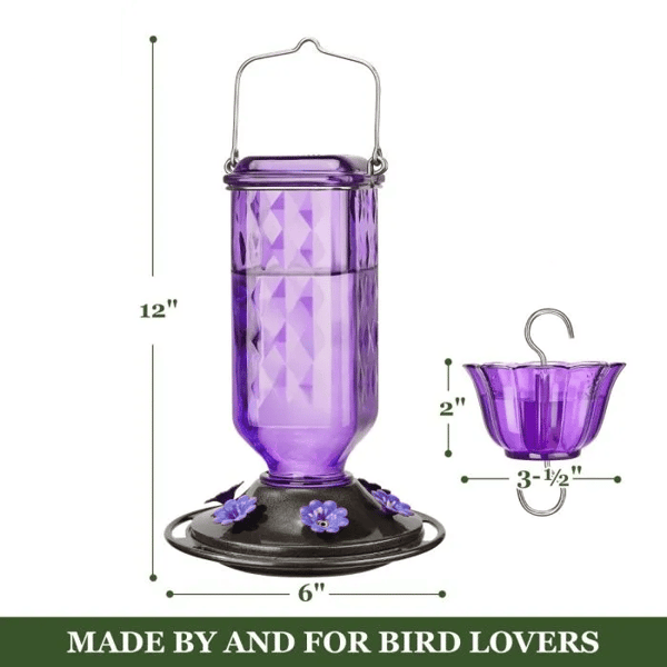 BloomNectar Glass Feeder – Attract & Delight Hummingbirds - 50% OFF