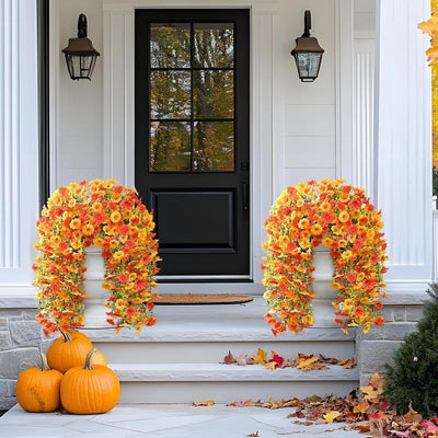 EverBloom Morning Glories - A Perfect Porch, All Autumn - 1+1 FREE