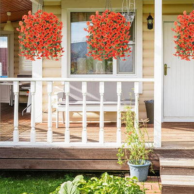 EverBloom Morning Glories - A Perfect Porch, All Autumn - 1+1 FREE