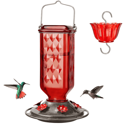 BloomNectar Glass Feeder – Attract & Delight Hummingbirds - 50% OFF