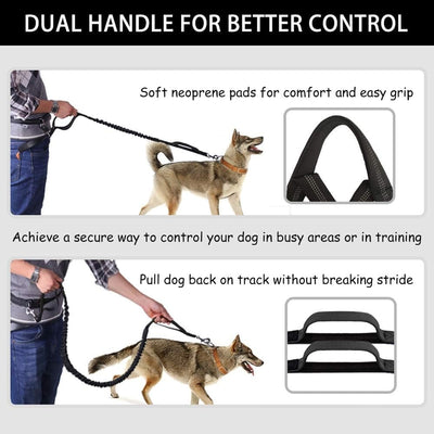 Hands-Free Dog Leash with Zipper Pouch - Shock-Absorbing Bungee & Adjustable Waist Belt - 50% OFF