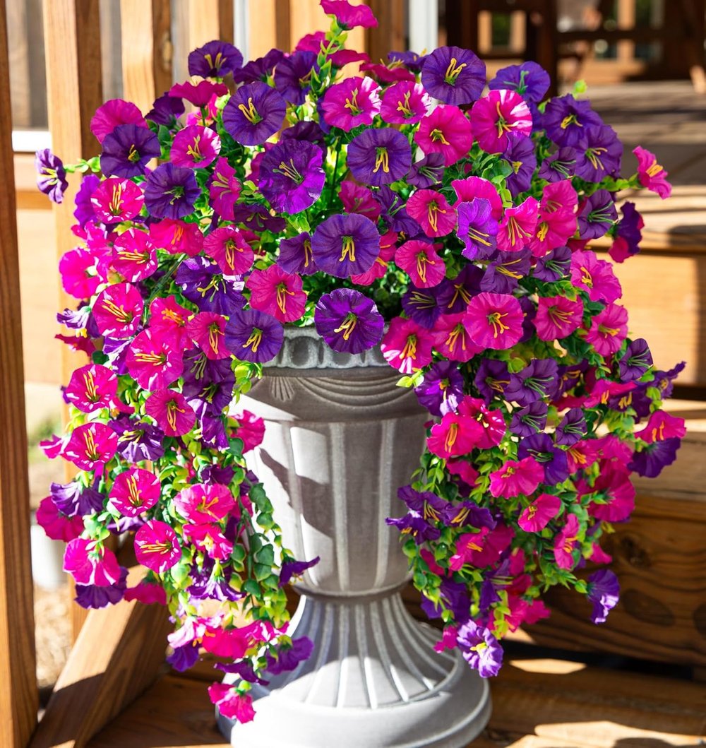 EverBloom Morning Glories - A Perfect Porch, All Autumn - 1+1 FREE