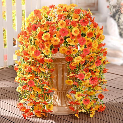 EverBloom Morning Glories - A Perfect Porch, All Autumn - 1+1 FREE