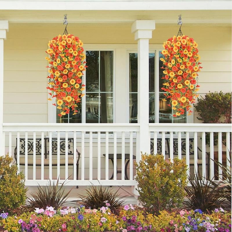 EverBloom Morning Glories - A Perfect Porch, All Autumn - 1+1 FREE