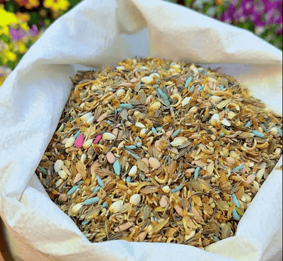 EternaGarden - A Wildflower Meadow in a Bag - 50% OFF