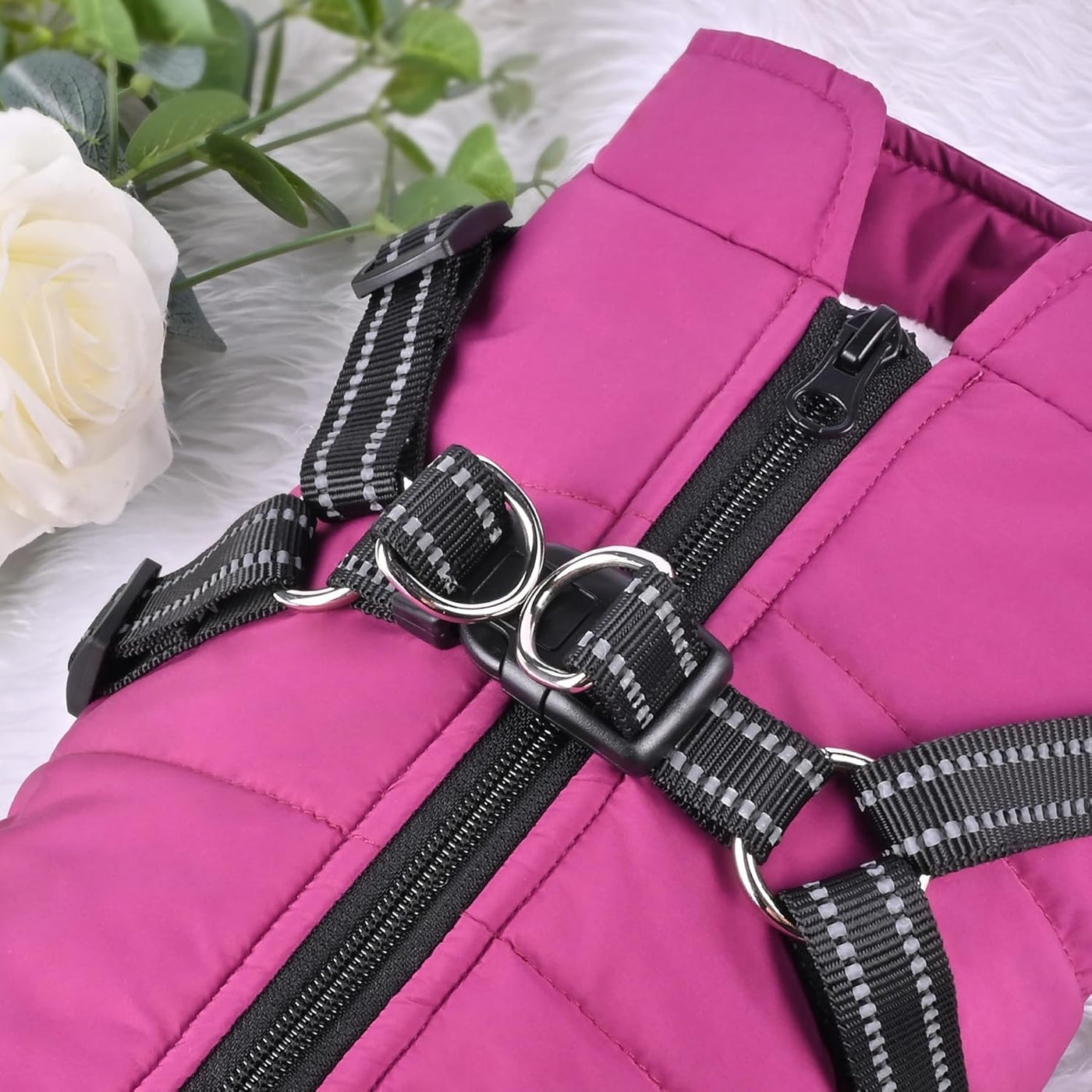 The All-in-One Dog Winter Jacket - The Walk-Ready Winter Coat + 50% OFF