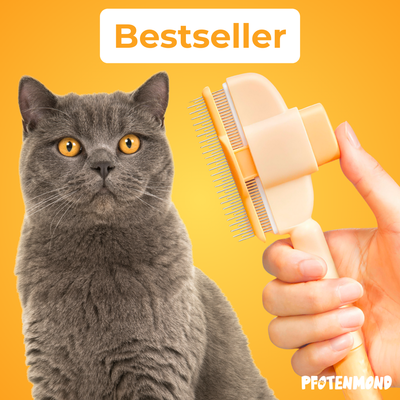 The Fellblitz Brush - A Hair-Free Home, Finally + 50% OFF