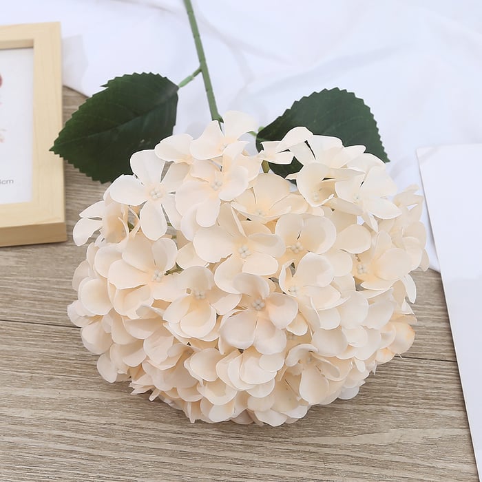 EverBloom Hydrangeas - A Perfect Garden, Effortlessly - 1+1 FREE