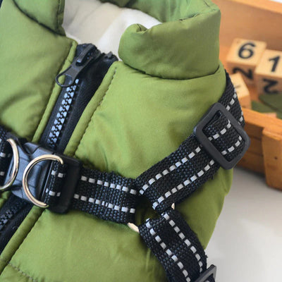 The All-in-One Dog Winter Jacket - The Walk-Ready Winter Coat + 50% OFF