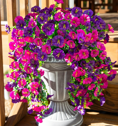 Everbloom™ Hanging Morning Glory Vine - Floral Beauty That Lasts Forever.