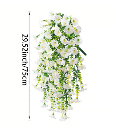 Everbloom™ Hanging Morning Glory Vine - Floral Beauty That Lasts Forever.