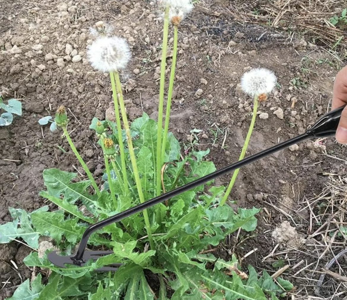 RootVanish Pro Weeder (2-Pack) - Eradicate Weeds Effortlessly, Right From The Root, and Reclaim Your Beautiful Garden! 50 % OFF
