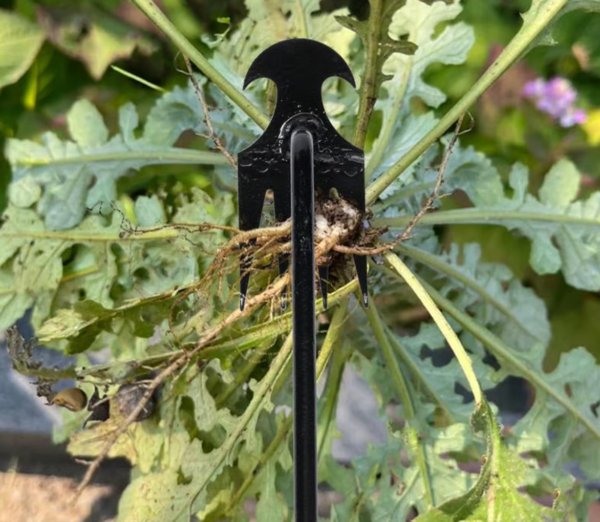 RootVanish Pro Weeder (2-Pack) - Eradicate Weeds Effortlessly, Right From The Root, and Reclaim Your Beautiful Garden! 50 % OFF