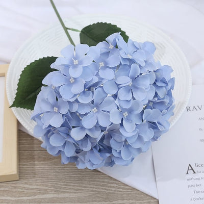 EverBloom Hydrangeas - A Perfect Garden, Effortlessly - 1+1 FREE