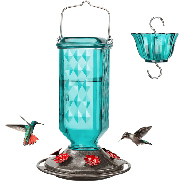 BloomNectar Glass Feeder – Attract & Delight Hummingbirds - 50% OFF