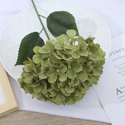 EverBloom Hydrangeas - A Perfect Garden, Effortlessly - 1+1 FREE